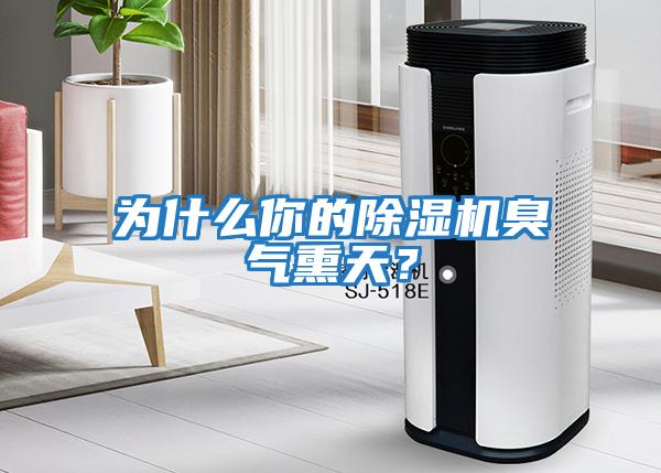 為什么你的除濕機(jī)臭氣熏天?
