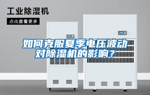 如何克服夏季電壓波動對除濕機的影響?