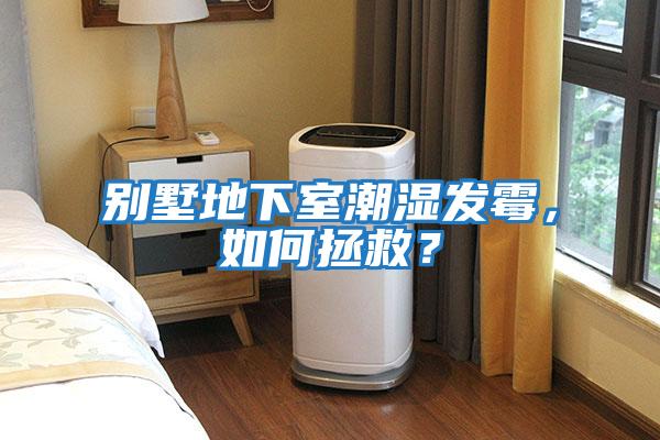 別墅地下室潮濕發霉，如何拯救？