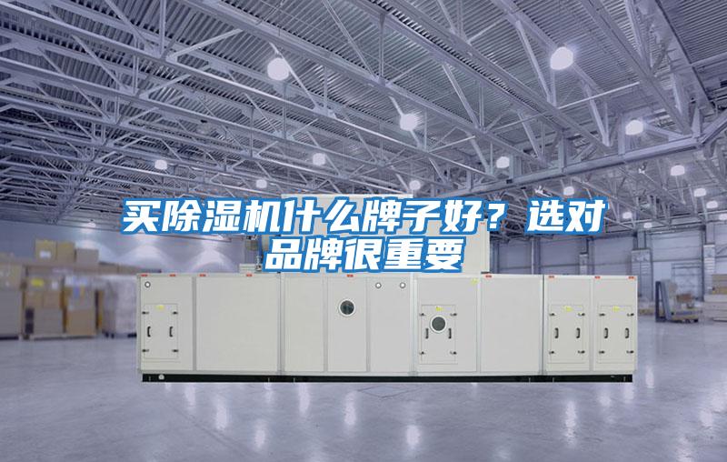 買除濕機什么牌子好?選對品牌很重要
