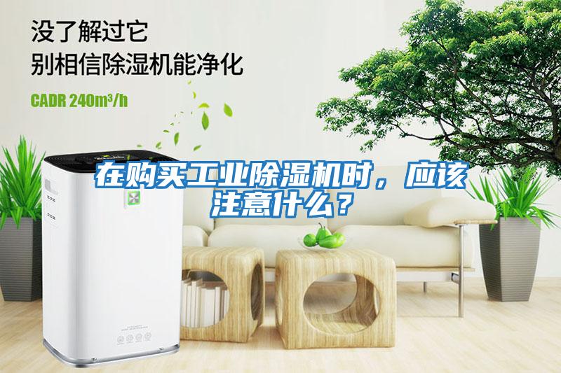 在購(gòu)買(mǎi)工業(yè)除濕機(jī)時(shí)，應(yīng)該注意什么？