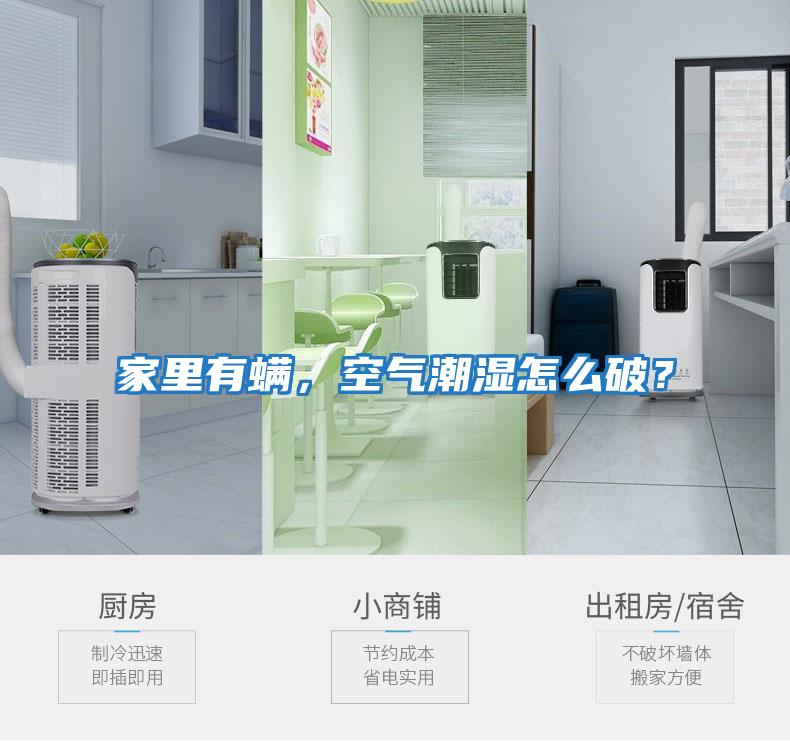 家里有螨，空氣潮濕怎么破？