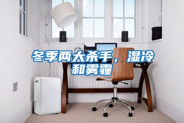 冬季兩大殺手,濕冷和霧霾