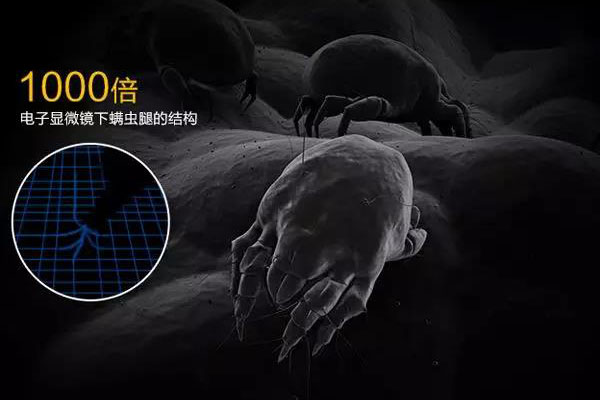 螨蟲高發(fā)季,家用除濕機除螨有妙計!_重復