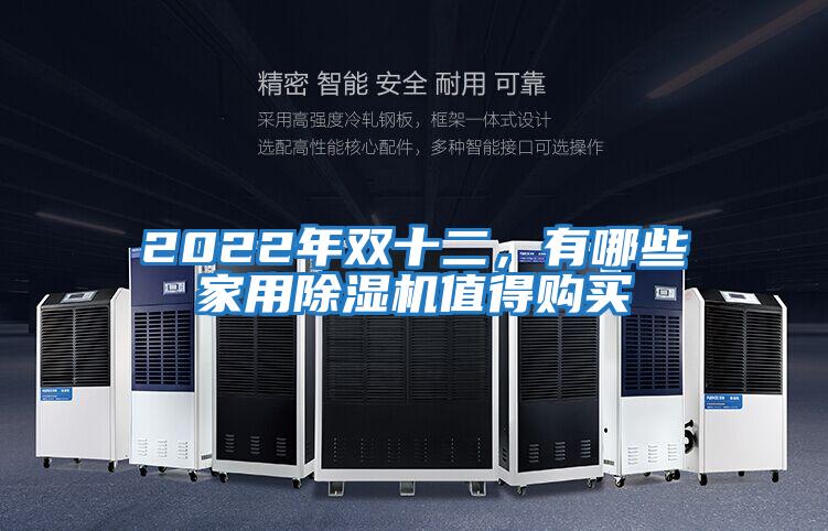 2022年雙十二，有哪些家用除濕機值得購買