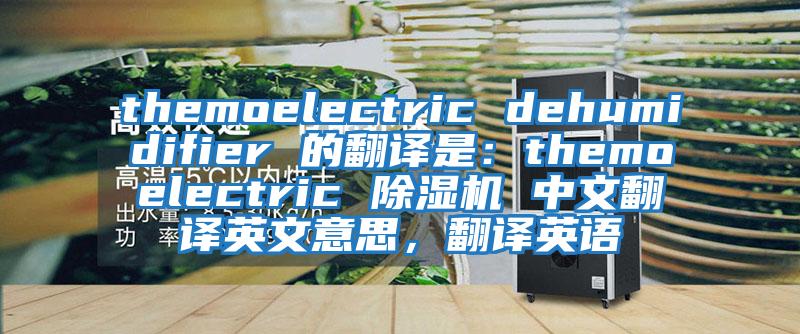 themoelectric dehumidifier 的翻譯是：themoelectric 除濕機(jī) 中文翻譯英文意思，翻譯英語