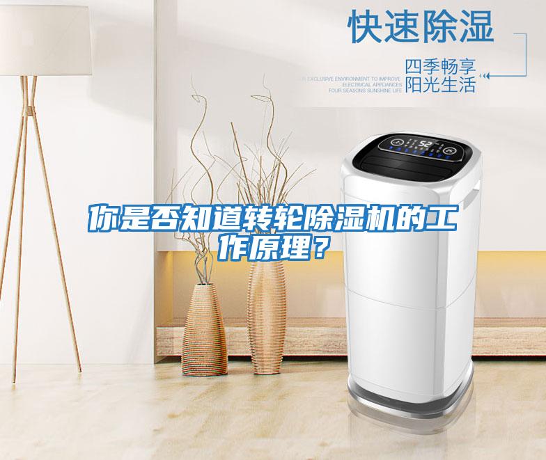 你是否知道轉輪除濕機的工作原理?