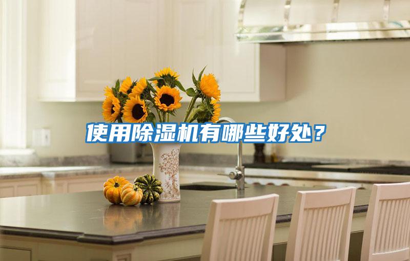 使用除濕機(jī)有哪些好處?