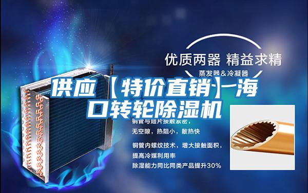 供應(yīng)【特價(jià)直銷】海口轉(zhuǎn)輪除濕機(jī)