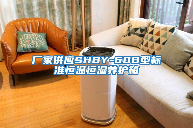 廠家供應SHBY-60B型標準恒溫恒濕養護箱