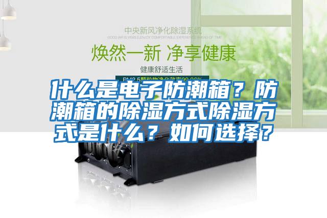 什么是電子防潮箱?防潮箱的除濕方式除濕方式是什么?如何選擇?