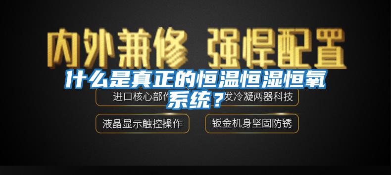 什么是真正的恒溫恒濕恒氧系統？