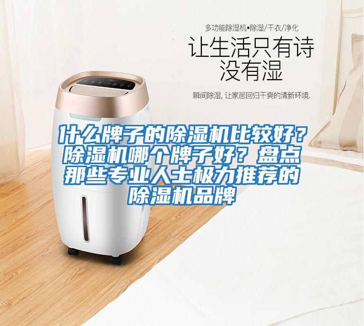 什么牌子的除濕機比較好？除濕機哪個牌子好？盤點那些專業人士極力推薦的除濕機品牌