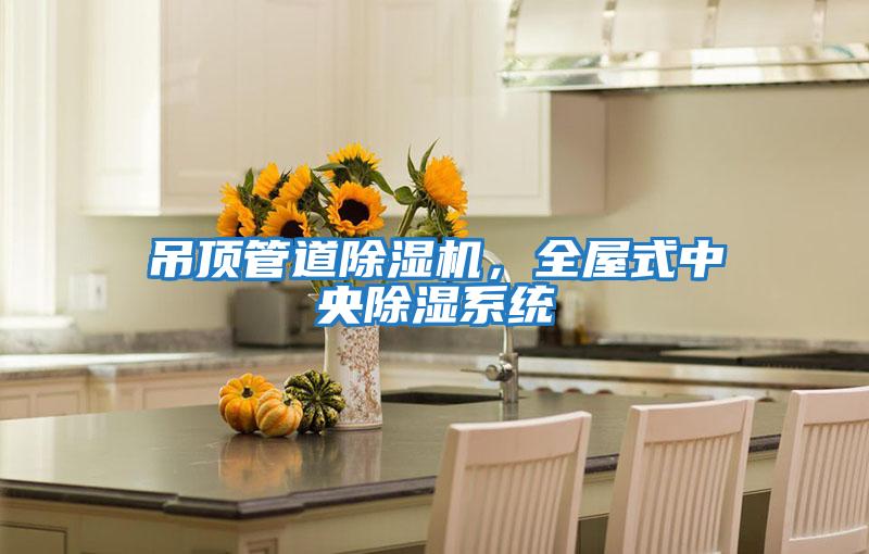 吊頂管道除濕機，全屋式中央除濕系統