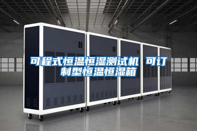 可程式恒溫恒濕測試機(jī) 可訂制型恒溫恒濕箱