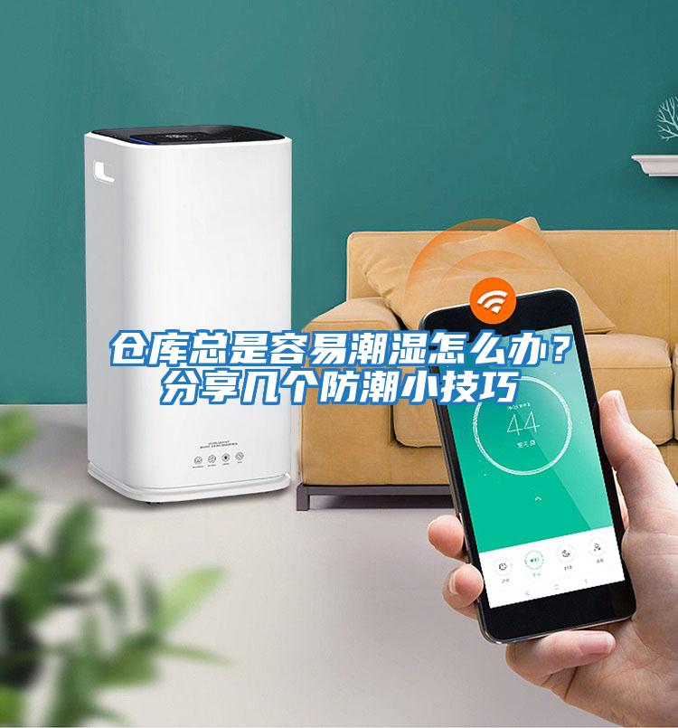 倉庫總是容易潮濕怎么辦？分享幾個防潮小技巧