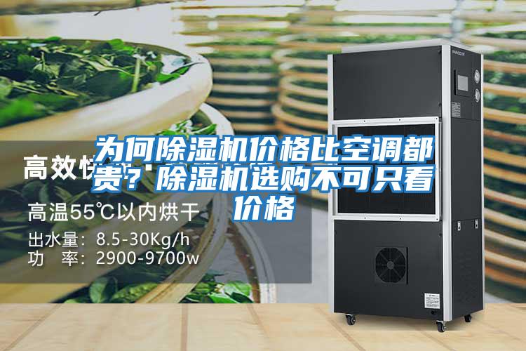 為何除濕機價格比空調都貴？除濕機選購不可只看價格