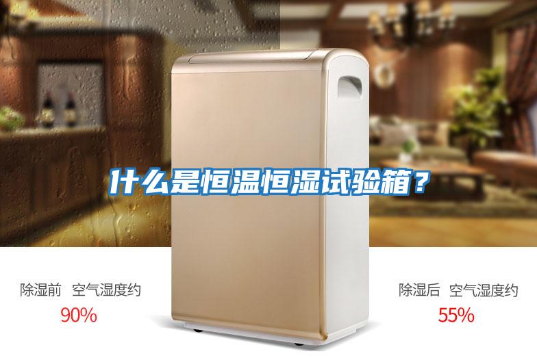什么是恒溫恒濕試驗箱？