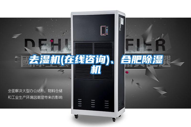去濕機(在線咨詢)、合肥除濕機
