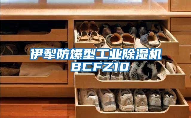 伊犁防爆型工業除濕機 BCFZ10