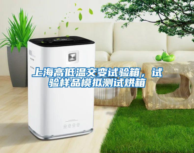 上海高低溫交變?cè)囼?yàn)箱，試驗(yàn)樣品模擬測試烘箱
