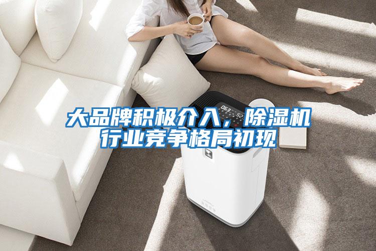大品牌積極介入，除濕機(jī)行業(yè)競爭格局初現(xiàn)