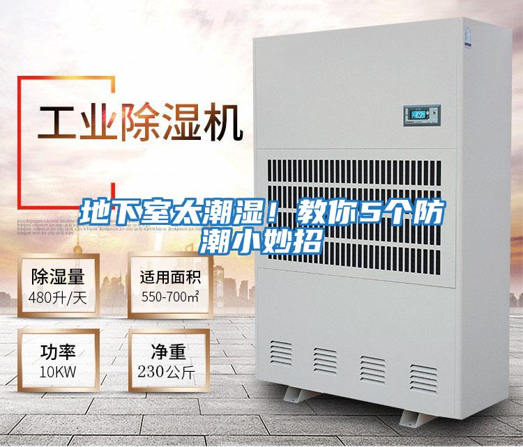 地下室太潮濕！教你5個防潮小妙招