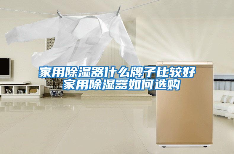 家用除濕器什么牌子比較好 家用除濕器如何選購(gòu)