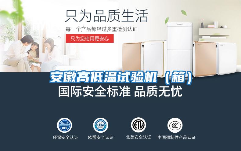 安徽高低溫試驗機(箱)