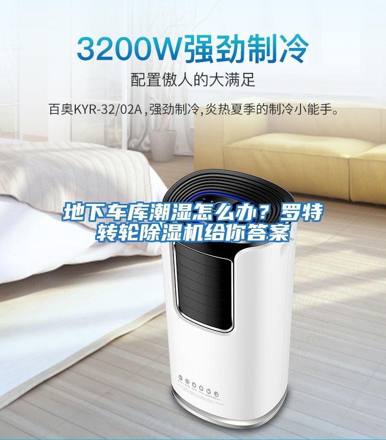 地下車庫潮濕怎么辦？羅特轉(zhuǎn)輪除濕機(jī)給你答案