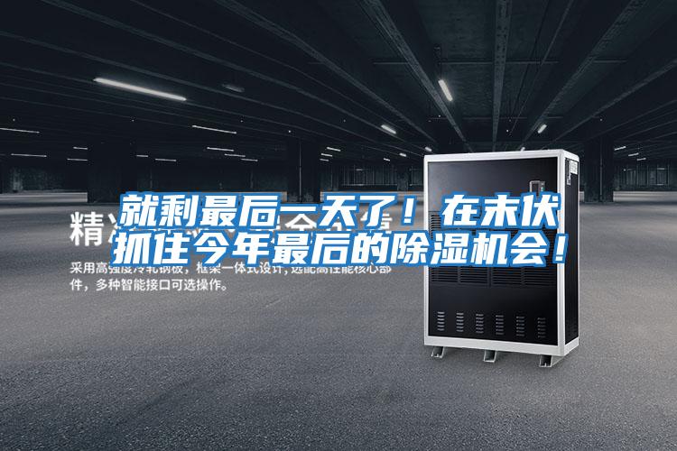 就剩最后一天了！在末伏抓住今年最后的除濕機(jī)會(huì)！