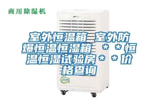 室外恒溫箱 室外防爆恒溫恒濕箱 ＊＊恒溫恒濕試驗(yàn)房＊＊價(jià)格查詢(xún)