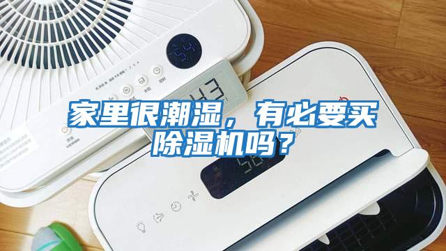家里很潮濕，有必要買除濕機嗎？