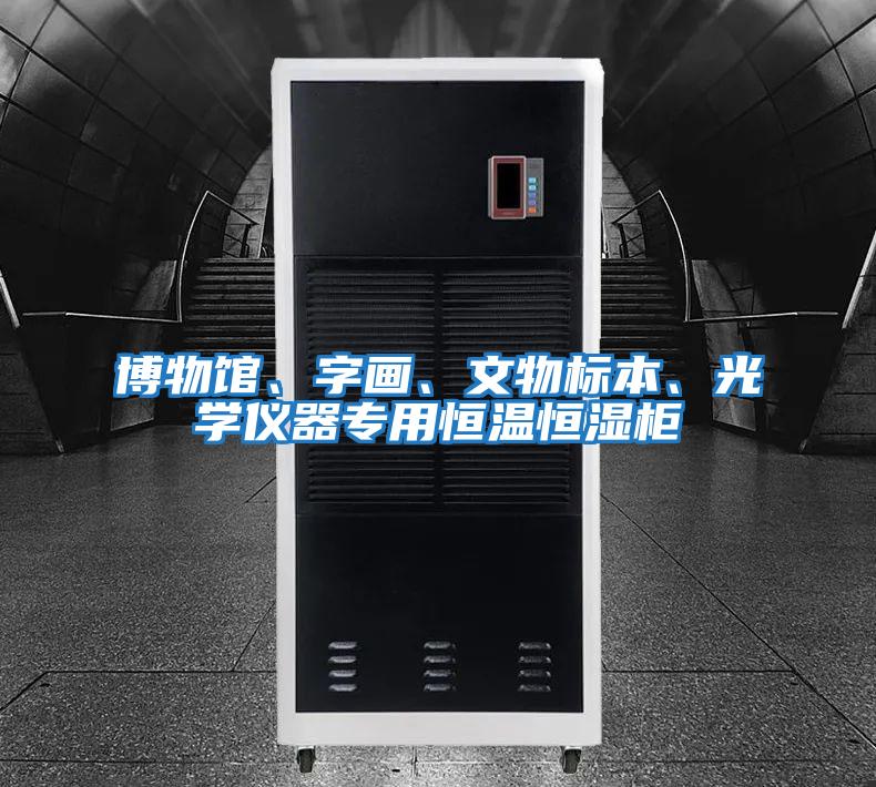 博物館、字畫、文物標本、光學儀器專用恒溫恒濕柜