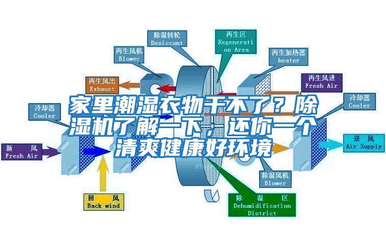家里潮濕衣物干不了？除濕機了解一下，還你一個清爽健康好環(huán)境