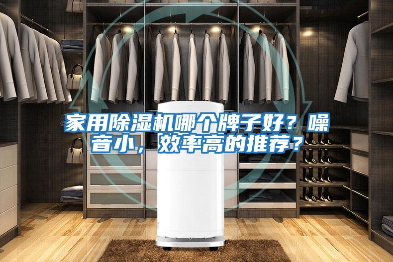 家用除濕機哪個牌子好？噪音小，效率高的推薦？