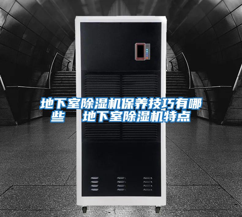 地下室除濕機(jī)保養(yǎng)技巧有哪些 地下室除濕機(jī)特點(diǎn)