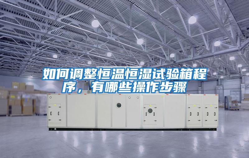 如何調(diào)整恒溫恒濕試驗(yàn)箱程序，有哪些操作步驟
