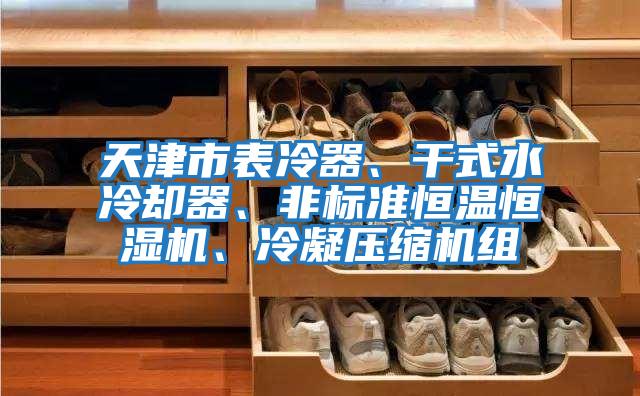 天津市表冷器、干式水冷卻器、非標準恒溫恒濕機、冷凝壓縮機組