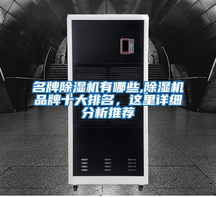 名牌除濕機有哪些,除濕機品牌十大排名，這里詳細分析推薦