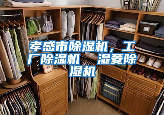 孝感市除濕機,工廠除濕機 濕菱除濕機
