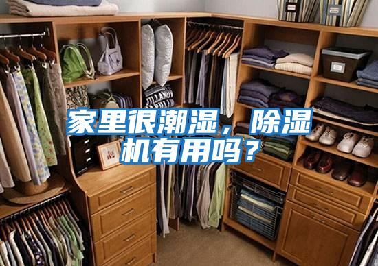 家里很潮濕，除濕機有用嗎？