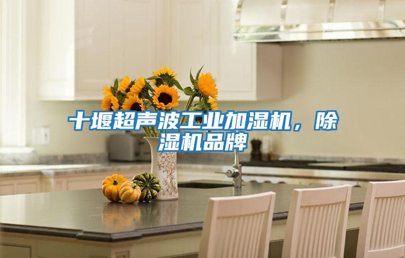 十堰超聲波工業(yè)加濕機,除濕機品牌