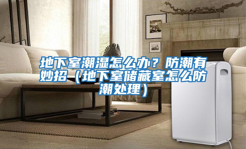 地下室潮濕怎么辦？防潮有妙招（地下室儲藏室怎么防潮處理）
