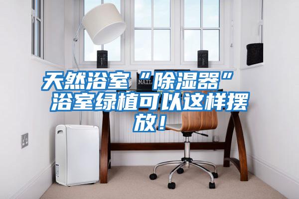 天然浴室“除濕器” 浴室綠植可以這樣擺放！