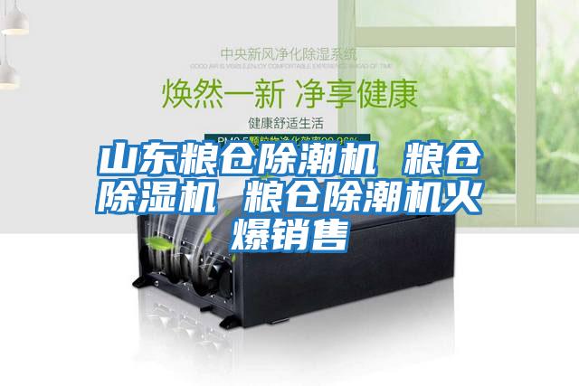 山東糧倉(cāng)除潮機(jī) 糧倉(cāng)除濕機(jī) 糧倉(cāng)除潮機(jī)火爆銷售
