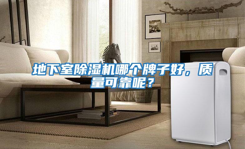 地下室除濕機(jī)哪個(gè)牌子好,質(zhì)量可靠呢?