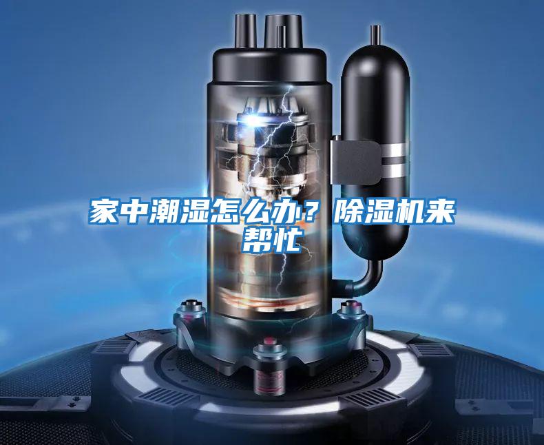 家中潮濕怎么辦？除濕機(jī)來幫忙