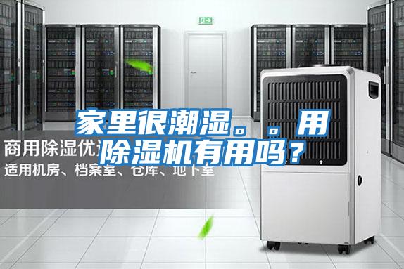 家里很潮濕。。用除濕機有用嗎？