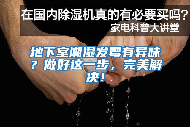 地下室潮濕發霉有異味？做好這一步，完美解決！